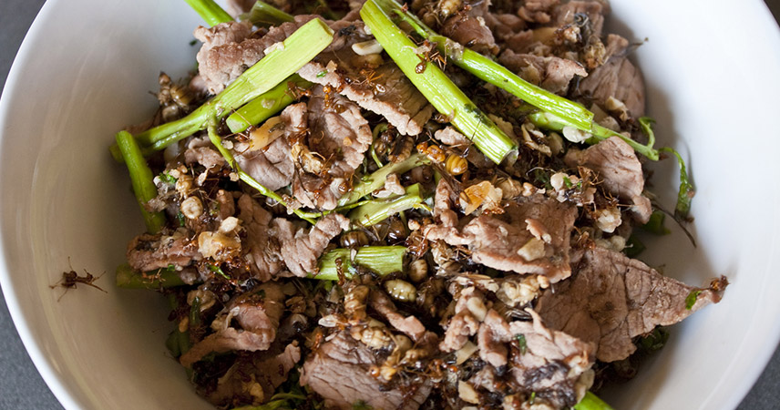 This dish is a combination of stir-fried red tree ants and beef