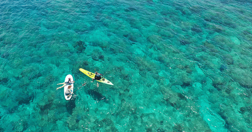 Experience SUP and swimming at My Khe beach