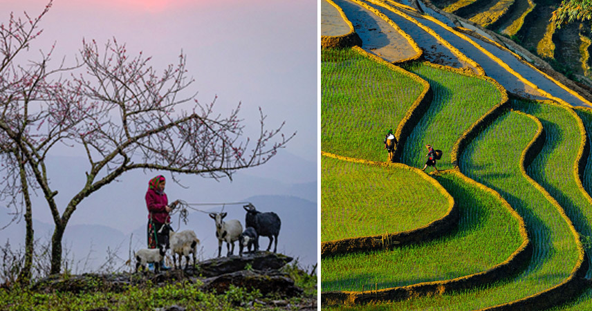 Explore Sapa in North, Vietnam