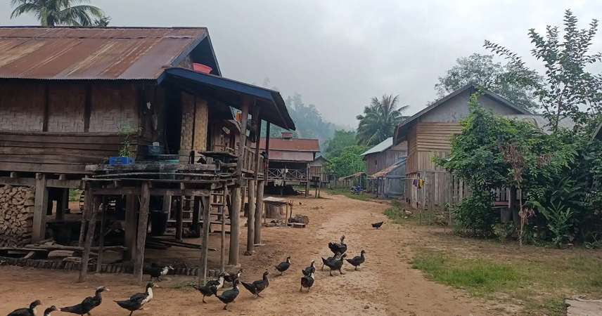 Relax and Enjoy the Slow Pace of Luang Namtha, Laos