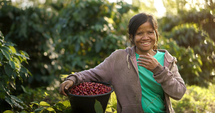 This popular motorbike route takes you through coffee plantations