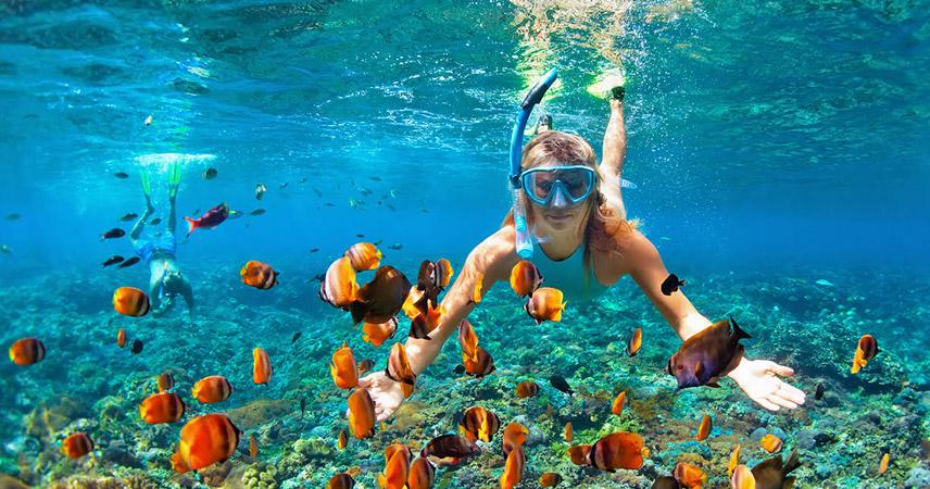 Snorkeling and Diving