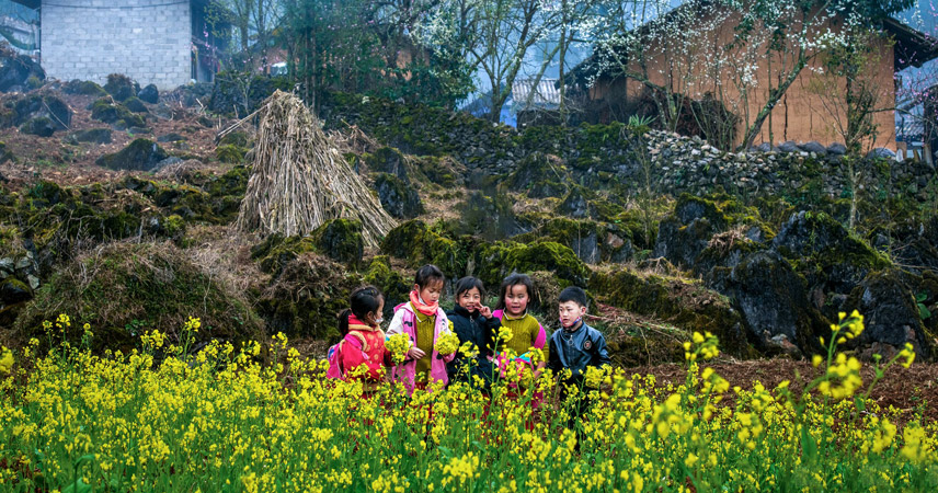 Dong Van Stone Plateau