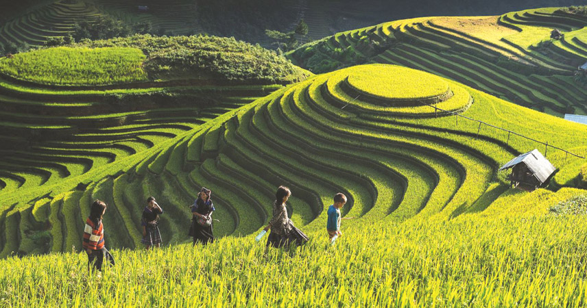 Exploring terraced fields in Mu Cang Chai
