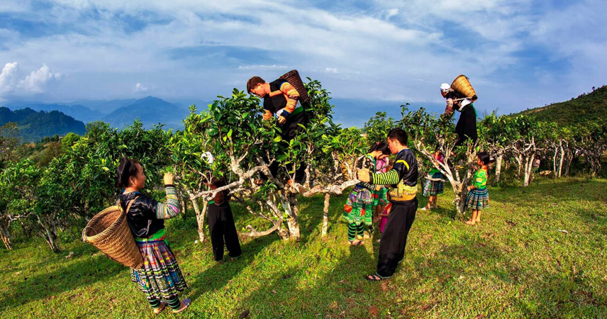 Explore the life of the Vietnamese ethnic people in Nghia Lo