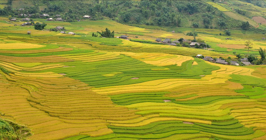 Lost in Yen Bai