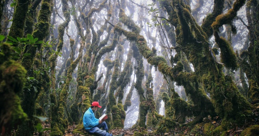 Trekking at Ta Xua