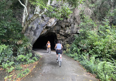 Aqua Luxury Cruise 3 days 2 nights