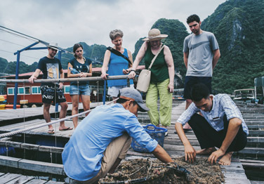 Bhaya Classic Cruise 2 days 1-night