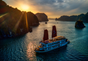 Violet Cruise 3 days 2 nights