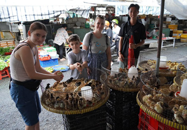 Mekong Eyes Classic Cruise in 2 Days