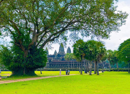 Discover Angkor Wat