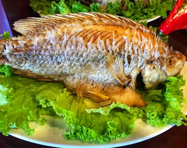 Discover the Mekong River with Dragon Eyes Cruise