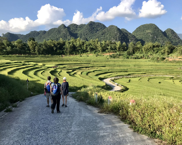 8-Day Northern Vietnam Tour | Hanoi, Pu Luong & Halong Bay