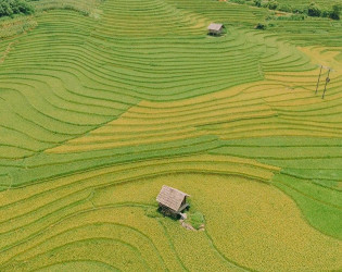 7-day Discover Northern Vietnam Tour: Best of Hanoi, Sapa & Halong